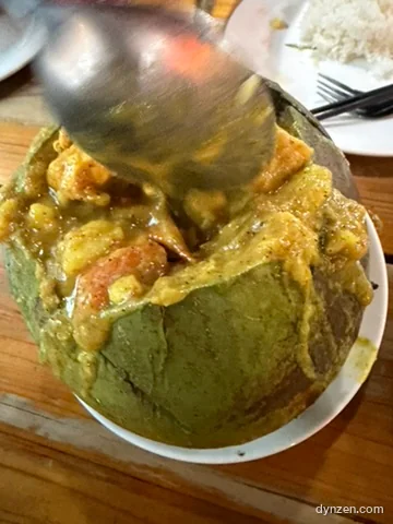 반으로 가른 코코넛 껍질 안에 담긴 노란 치킨 커리, 숟가락으로 떠내는 중