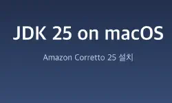 Featured image of post 맥북에서 JDK 25 설치하기 feat. Amazon Corretto 25