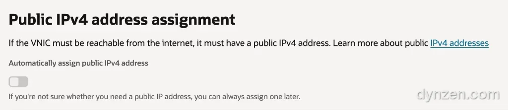 Public IP 옵션 화면