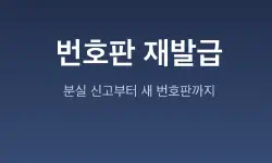 Featured image of post [테슬라 모델 Y 삼박자 사고 #4] 번호판 분실부터 재발급까지: 행정 절차와 필수 변경 사항